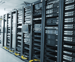 Untitled design (79)